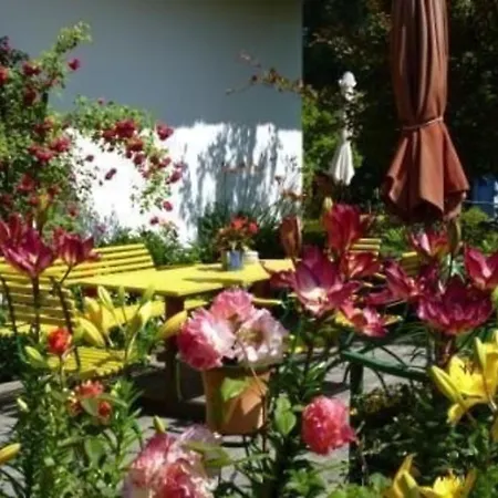 Morgensuenn - Nette In Althagen Mit Terrasse アパート *